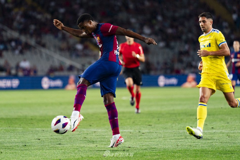 们的潜能 们的潜能